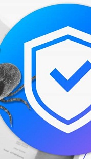 Страхование от клещей: как работает и как оформить